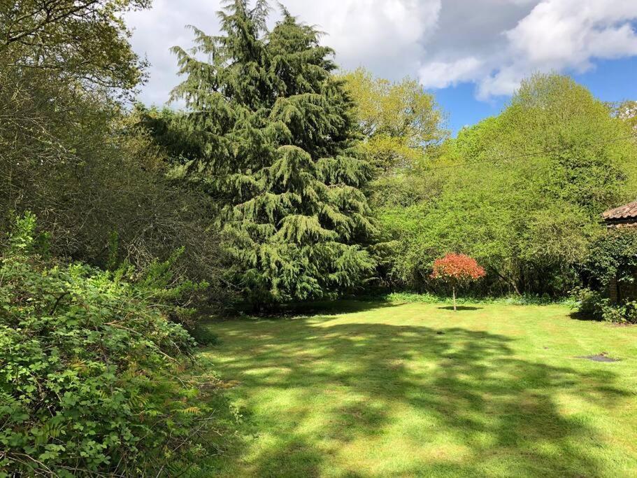 Forestry Cottage. Hot Tub, Open Fire, Dog Friendly Gaywood Exteriér fotografie