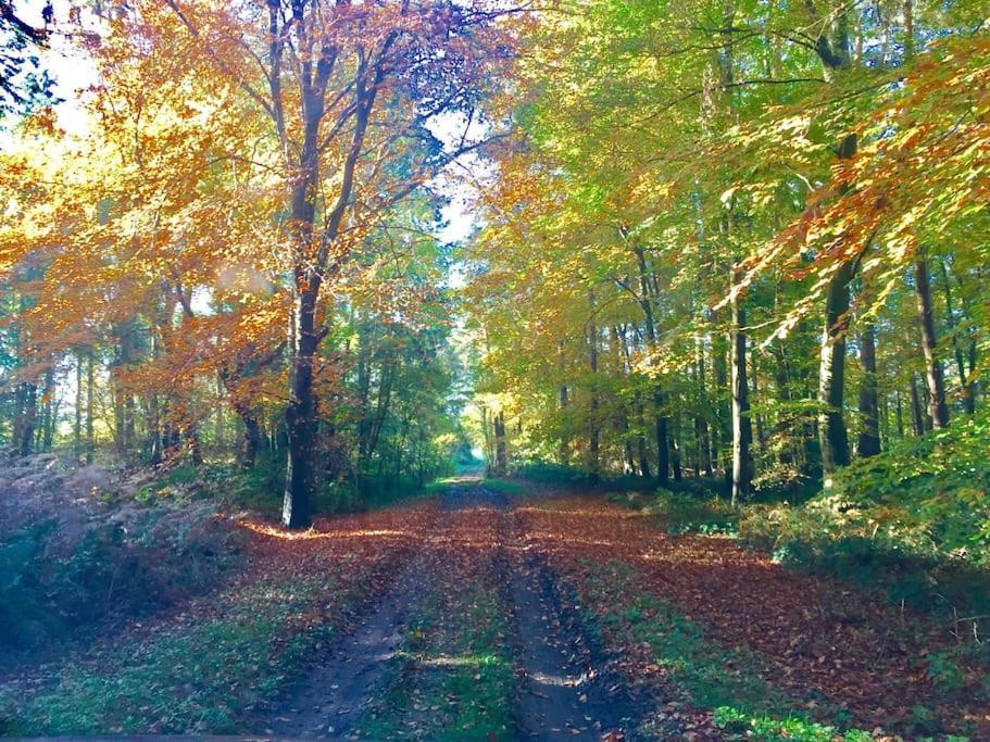Forestry Cottage. Hot Tub, Open Fire, Dog Friendly Gaywood Exteriér fotografie