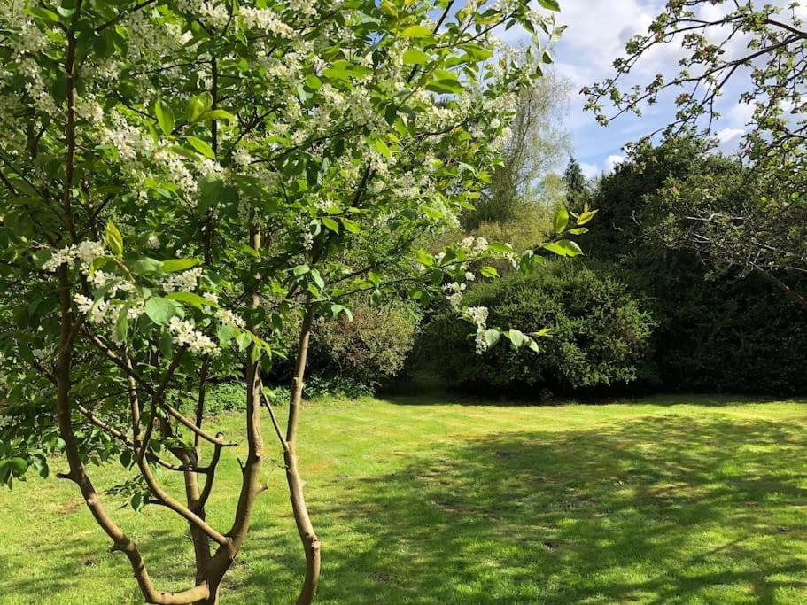 Forestry Cottage. Hot Tub, Open Fire, Dog Friendly Gaywood Exteriér fotografie