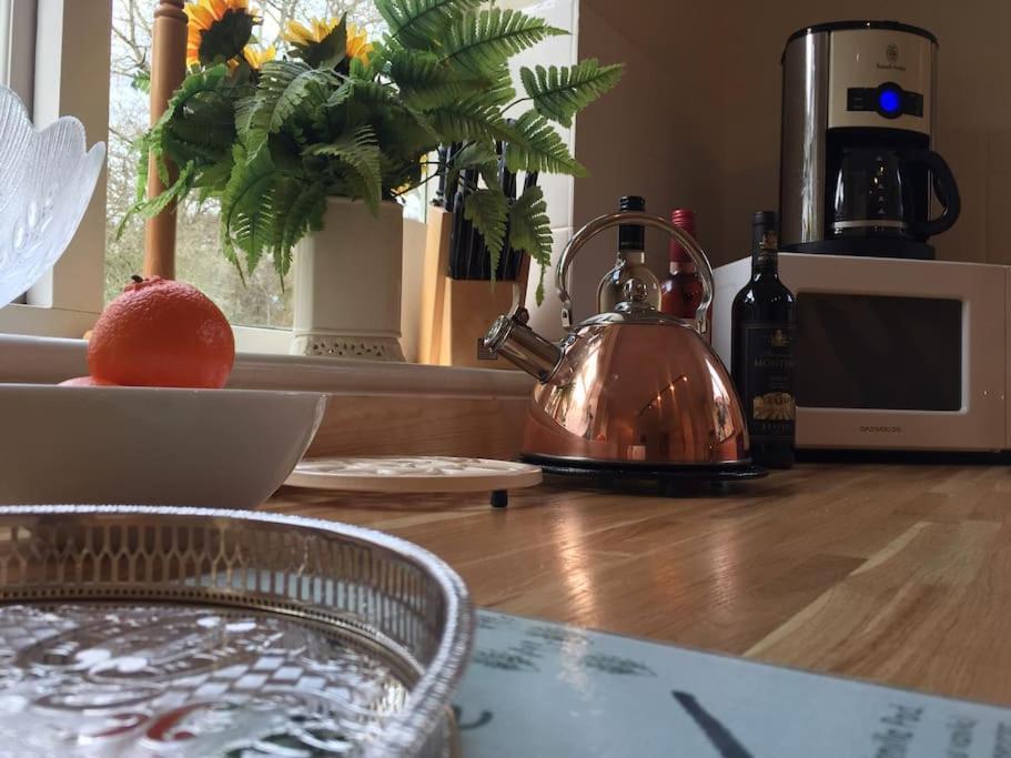 Forestry Cottage. Hot Tub, Open Fire, Dog Friendly Gaywood Exteriér fotografie