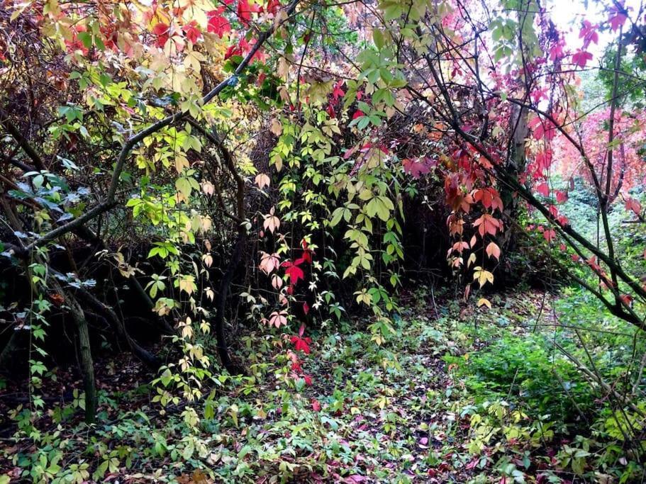 Forestry Cottage. Hot Tub, Open Fire, Dog Friendly Gaywood Exteriér fotografie