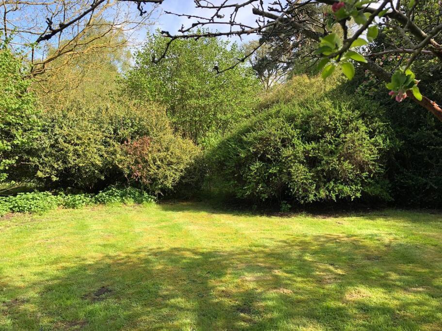 Forestry Cottage. Hot Tub, Open Fire, Dog Friendly Gaywood Exteriér fotografie